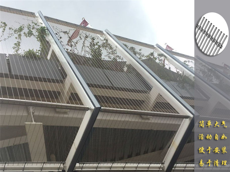 墙面装饰美女黄色网站下载网.jpg
